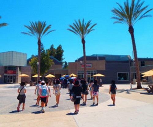FLS California State University, Northridge